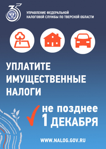 срок уплаты налогов 1 декабря